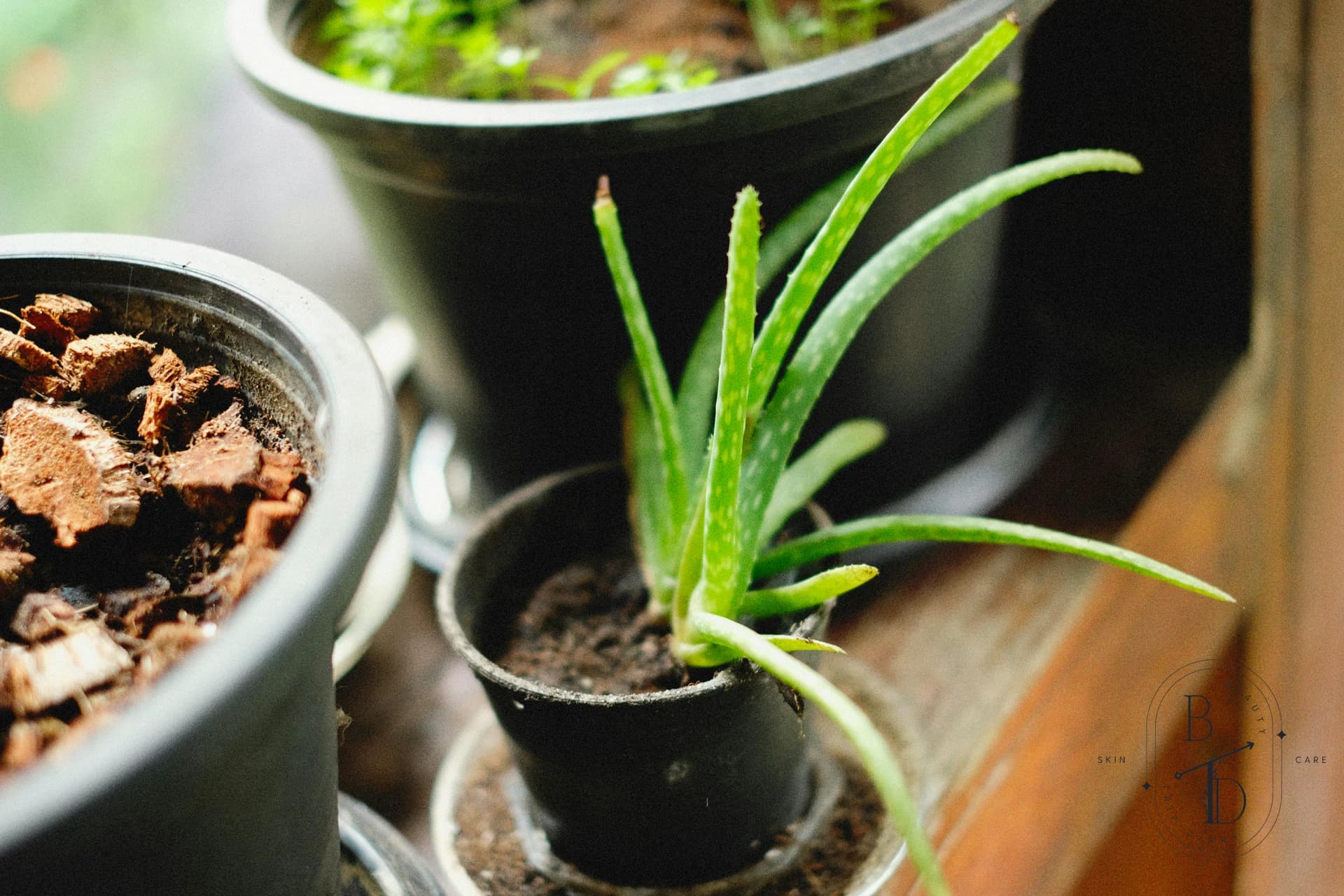 Soothing natural botanical ingredients