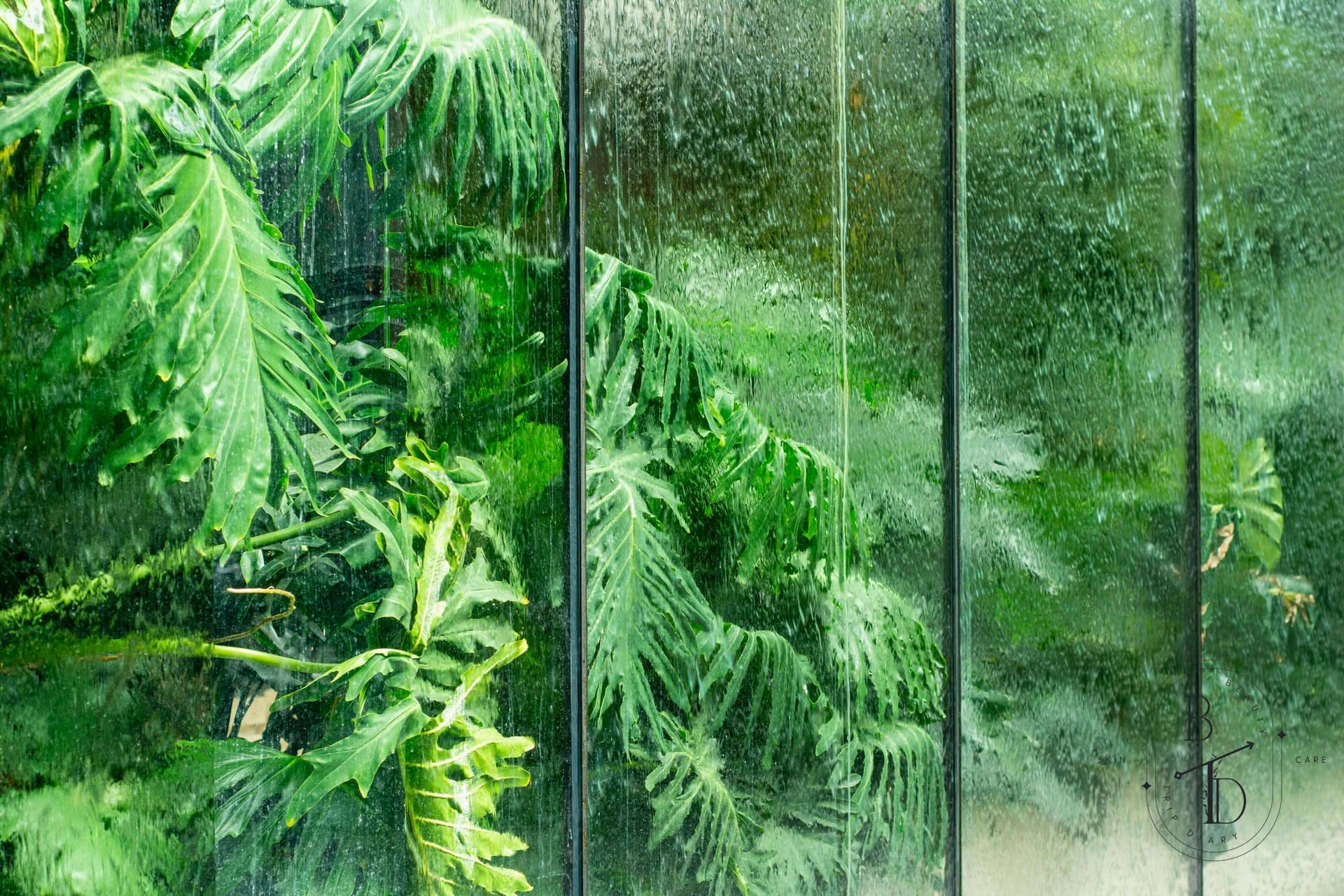 Subtropical humid climate in Taiwan